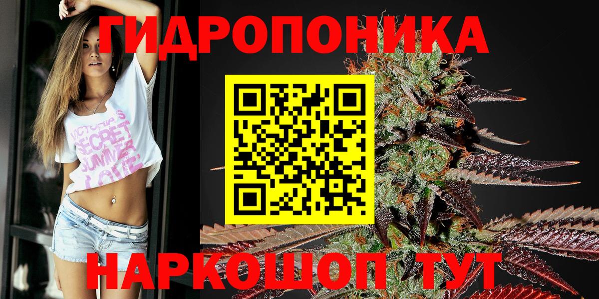Каннабис план  МАРИХУАНА семена  Бошки марихуана план  Канабис конопля  Вход с VPN  Ленинск-Кузнецкий 